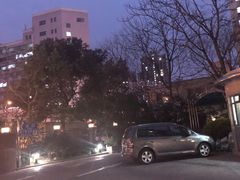 -上海青松城大酒店