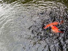 -三亚亚龙湾铂尔曼别墅度假酒店