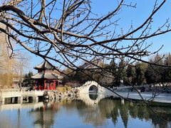 -莲池书院博物馆