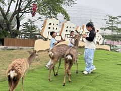 -盈香心动乐园