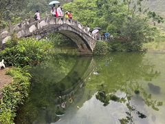 -靖西鹅泉风景区