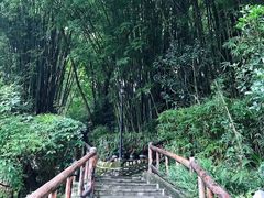 -竹海听涛生态山庄