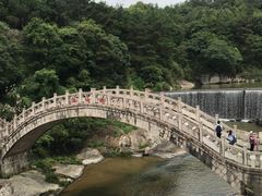 -九鲤湖风景区
