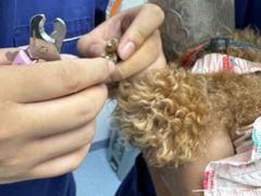 -宠物星动物医院·眼科·异宠·猫科(江南大道总院)