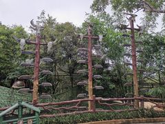 -海南槟榔谷黎苗文化旅游区