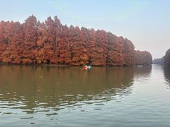 -上海海湾国家森林公园