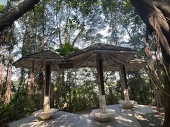 -广州市白云山风景名胜区