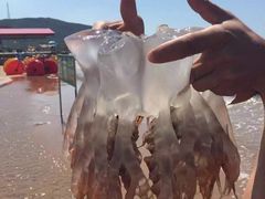 -西中岛海滨