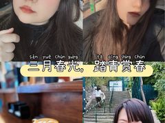 -朝阳公园游乐园