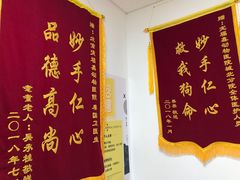 -宠福鑫动物医院(城北分院)