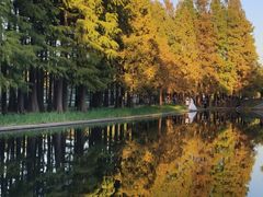 -上海共青森林公园