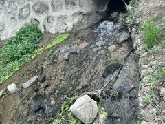 -白水寺森林公园