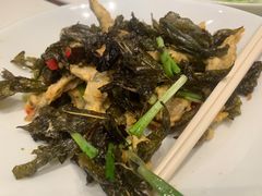 -桃源咖啡厅(武夷山大红袍山庄店)