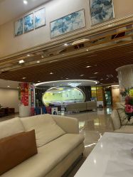 -生命加•Q考拉月子会所(玫瑰园店)