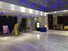 -和颐至尊酒店(北京望京798店)
