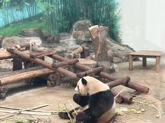 -杭州动物园