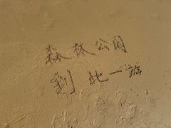 -日照海滨国家森林公园