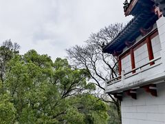-杭州林泉山庄