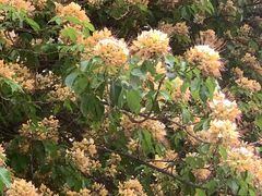 -南丰汇(新港东路店)