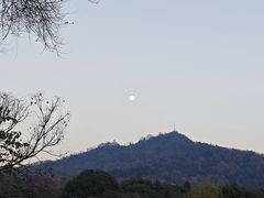 -紫金山天文台