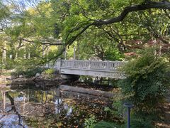 -叶家花园