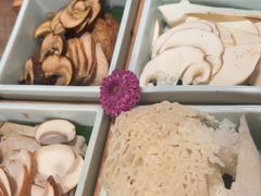 -蘑界·野生菌火锅(深业上城店)