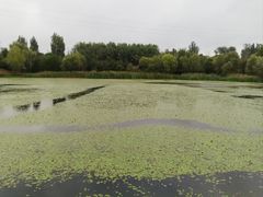 -淇河国家湿地公园