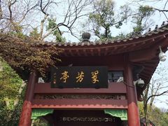 -西湖天地