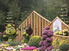 -上海共青森林公园