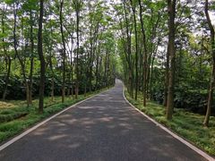 -宜兴龙背山森林公园