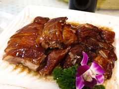 -四海之家(蛇口店)