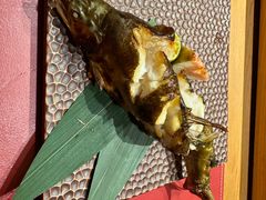 -松涛日本料理