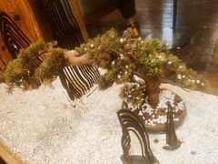 -霸王茶姬(南强街店)
