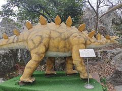 -昆明动物园