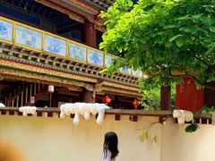 -云南民族村