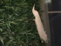 -SFC上影影城(港汇永华IMAX激光店)