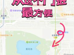-莲花池公园