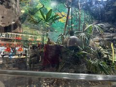 -上海大自然野生昆虫馆(东方明珠·爬宠昆虫探索中心)