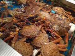 帝王蟹-盒马鲜生(189购物中心店)