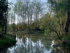 -合肥滨湖国家森林公园