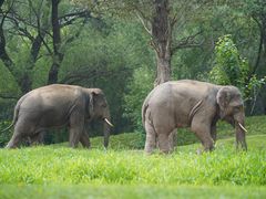 -北京野生动物园