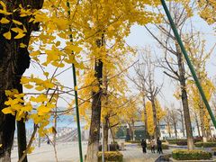 -百林公园-两江幸福广场