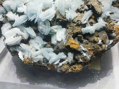 -湖南省地质博物馆