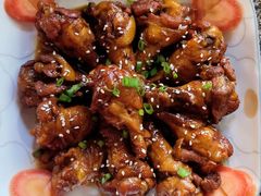 -田螺阿姨自营月嫂·育儿嫂(高新店)