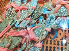 -巽寮印象美食部落餐厅·海鲜·地方特色菜(惠州体验店)