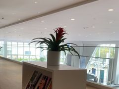 -上海冠松华奥奥迪4S店(张江店)
