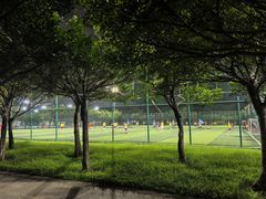 -顺峰山公园