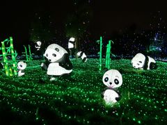 -国际非物质文化遗产博览园
