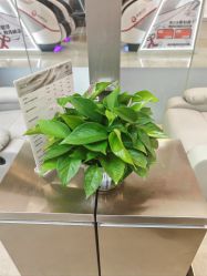 -润复丝·泽发防脱头皮管理