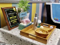 -贝贝宠物乐园(常青花园店)